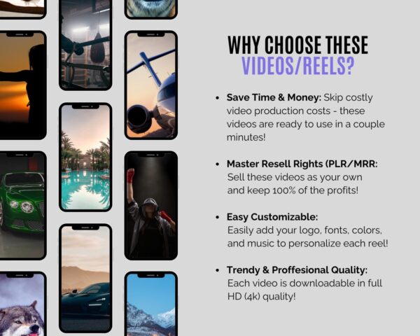 100,000+ Videos Bundle MRR PLR Satisfying Gaming Luxury Animated AI Motivational Funny Cat Dog Gym Instagram Reels YouTube Shorts and TikTok - Image 8