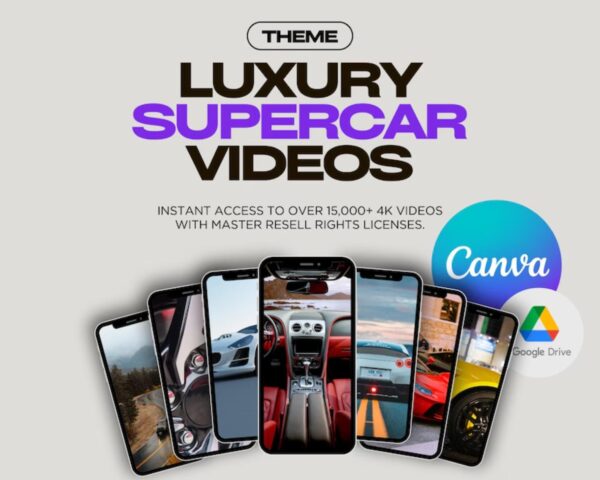 100,000+ Videos Bundle MRR PLR Satisfying Gaming Luxury Animated AI Motivational Funny Cat Dog Gym Instagram Reels YouTube Shorts and TikTok - Image 9