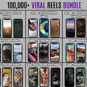 100,000+ Videos Bundle MRR PLR Satisfying Gaming Luxury Animated AI Motivational Funny Cat Dog Gym Instagram Reels YouTube Shorts and TikTok