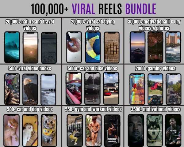 100,000+ Videos Bundle MRR PLR Satisfying Gaming Luxury Animated AI Motivational Funny Cat Dog Gym Instagram Reels YouTube Shorts and TikTok